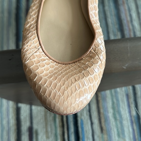 Rachel Zoe Python Snake Gold chain ballerina Flats - Picture 3 of 6